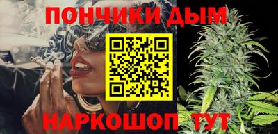 МДПВ Дубна