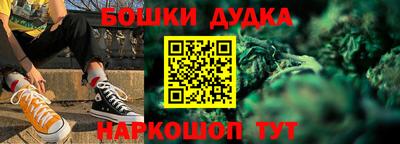 МДПВ Дубна
