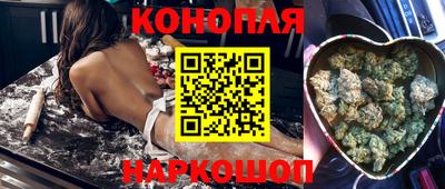 МДПВ Дубна