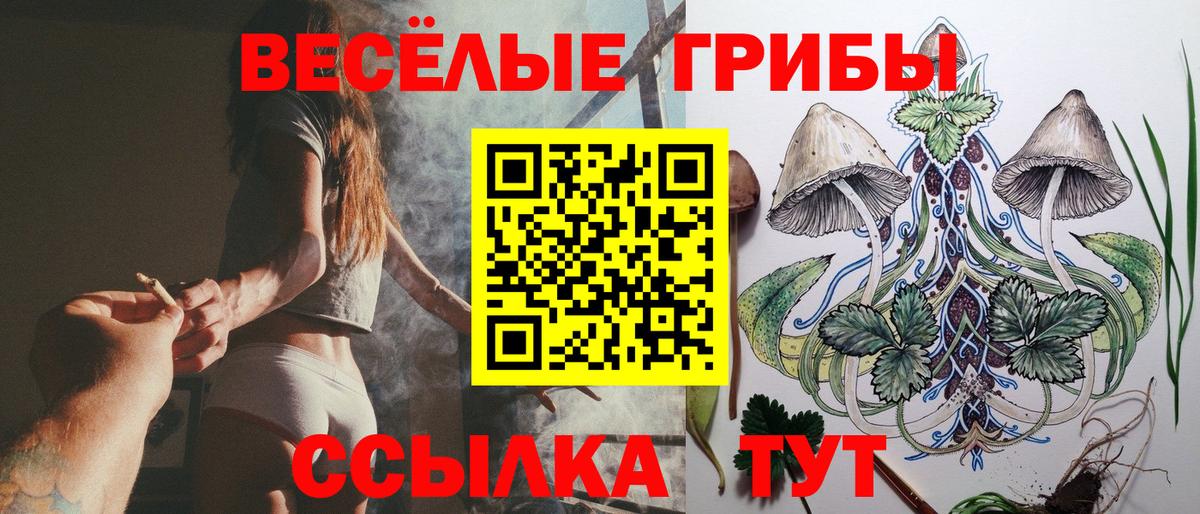 Псилоцибиновые грибы GOLDEN TEACHER Луховицы